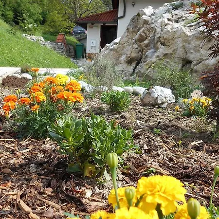 Apartment Sela Tolmin Exterior photo