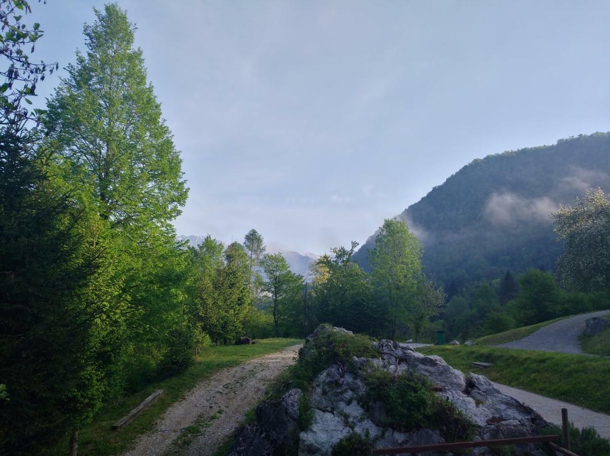 Sela Apartment Tolmin
